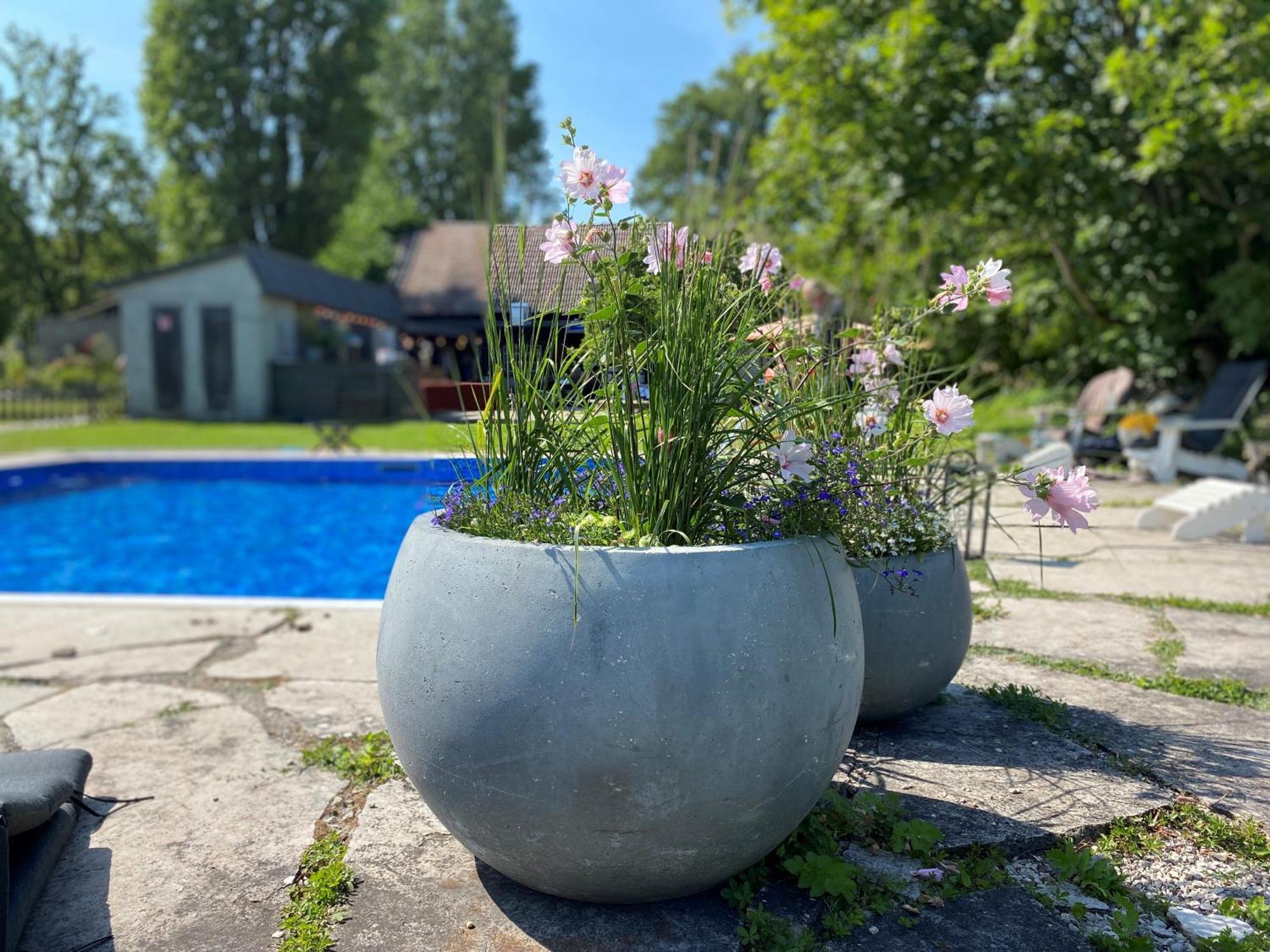 Hotel Gra Gasen Burgsvik Esterno foto